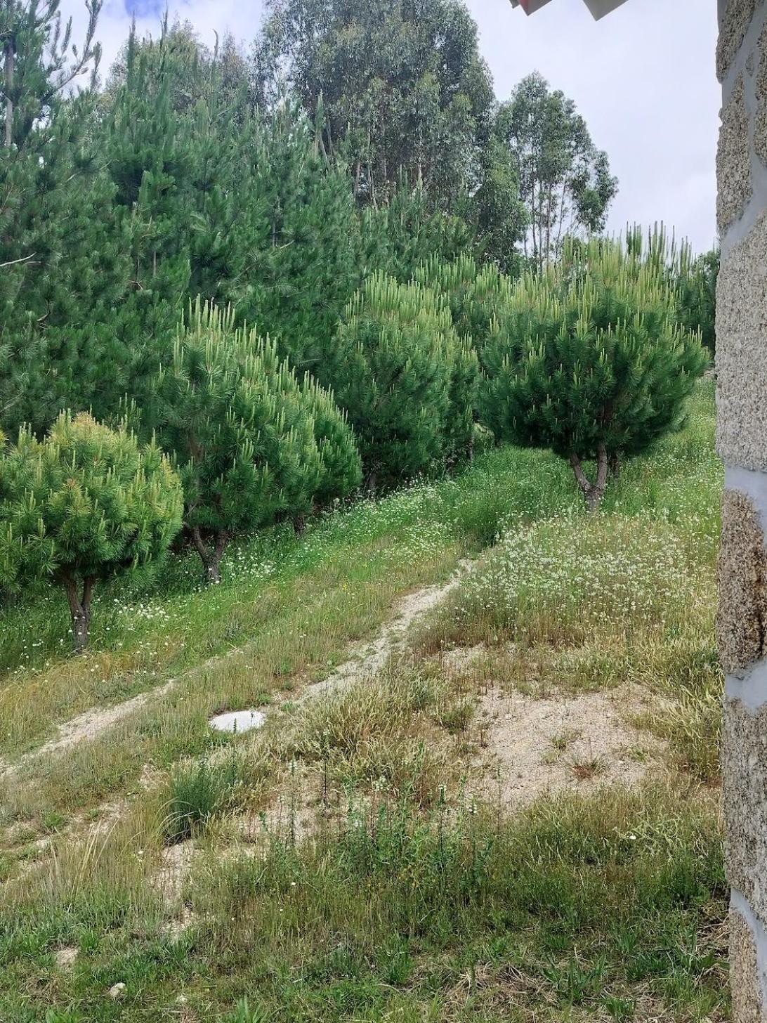 Arpuro Villa Gouveia  Exterior foto